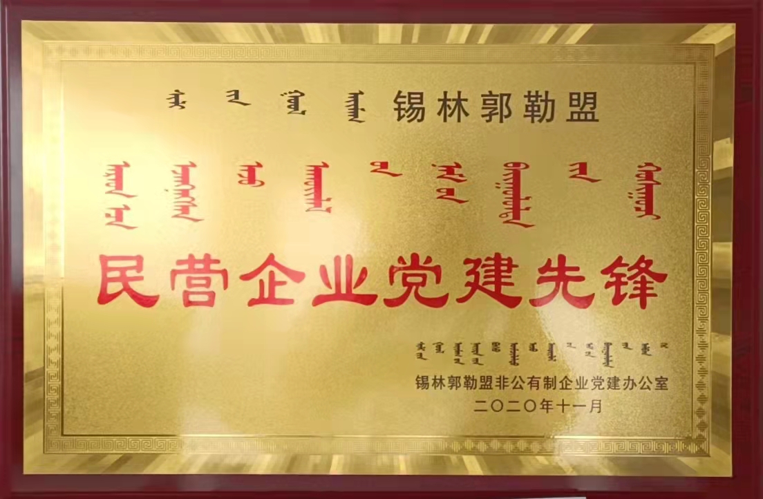 民營(yíng)企業(yè)黨建先鋒